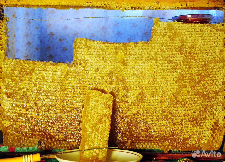 Мёд цветочный 