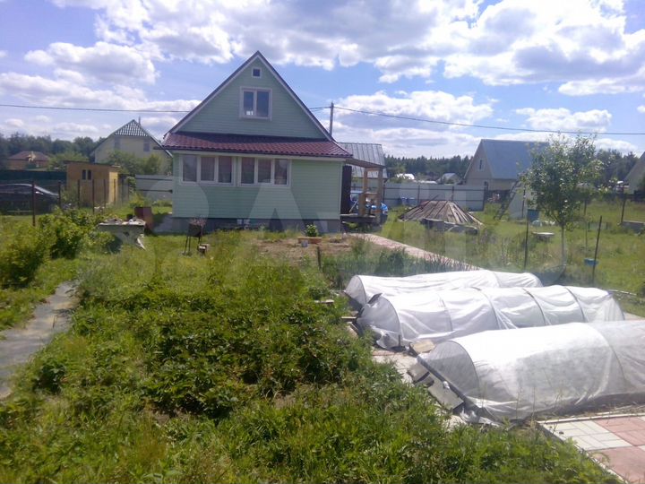 Погода в ветче