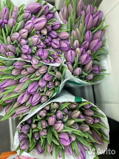 Тюльпаны с доставкой