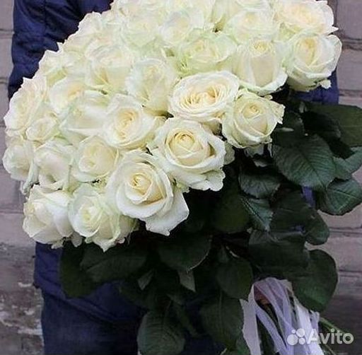 Высокие розы Гигантские розы Доставка цветов