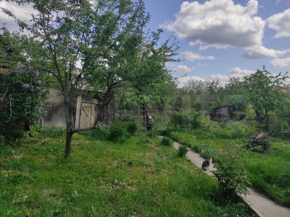 Дом 58,6 м² на участке 6 сот.