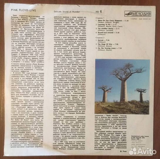 Pink Floyd – Delicate Sound Of Thunder