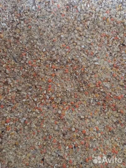 Зерносмесь 30 кг. Доставка