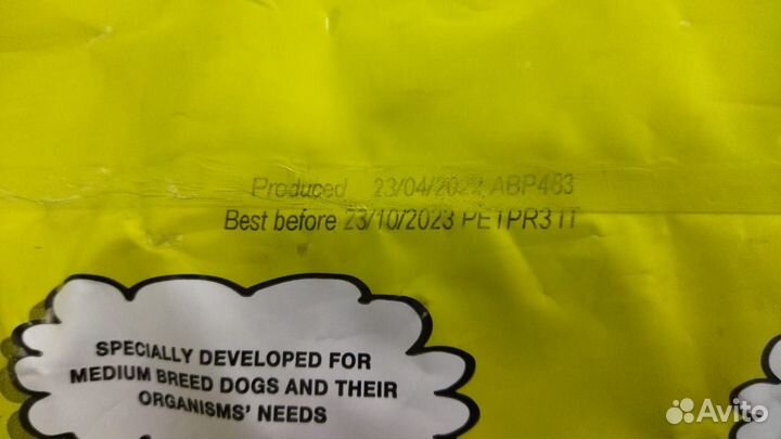 DailyDog Adult Small Breed Lamb