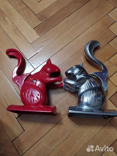 Орехоколка красивая