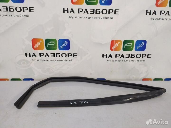 Уплотнительная резинка стекла двери задняя правая