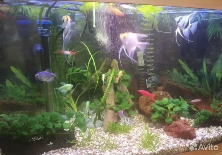 Аквариумный грунт 15 килограмм