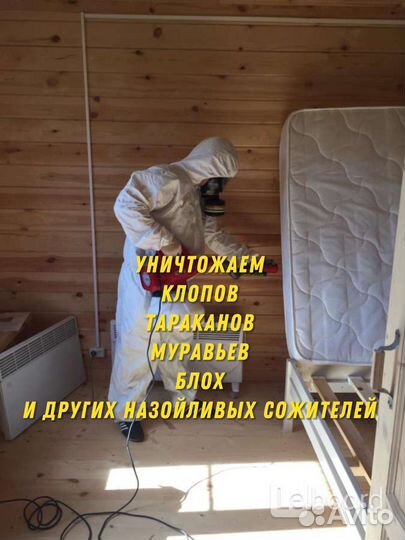 Уничтожение насекомых.Дератизация