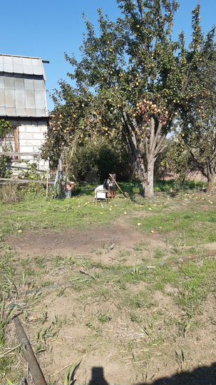 Участок 6 сот. (СНТ, ДНП)