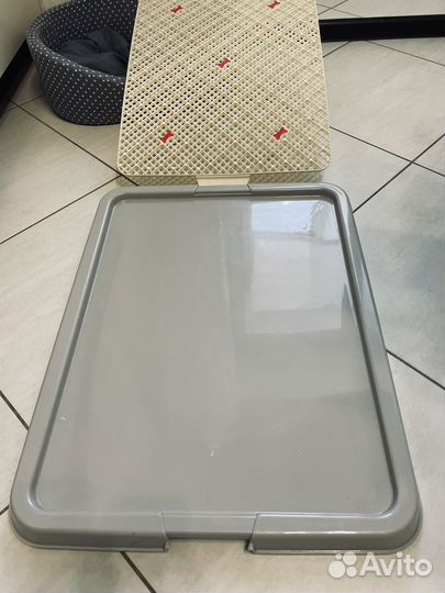 Туалет, лоток для собак