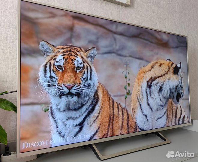 Телевизор sony bravia. Диагональ 55