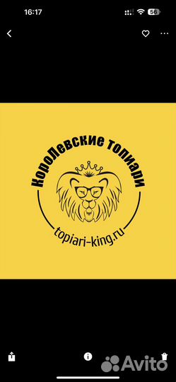 Художественный руководитель