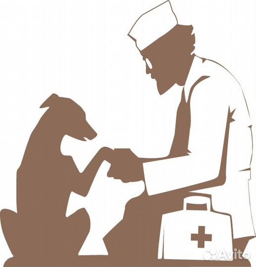 Эфтаназия (усыпление) животных