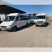 Пассажирские перевозки mercedes sprinter