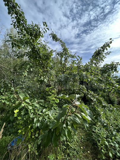 Дача 30 м² на участке 8 сот.