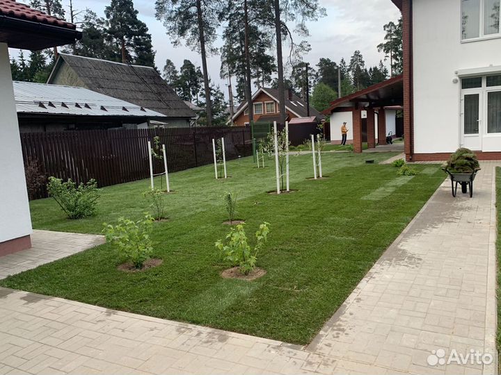 Рулонный газон