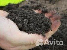 Земля плодородная