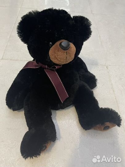 Новый медведь Aurora