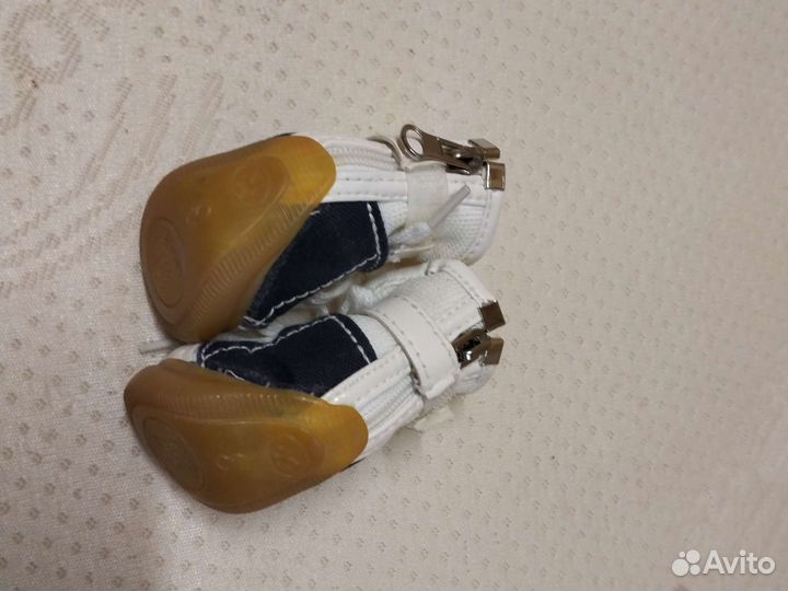 Кеды для собак, 3-его размера