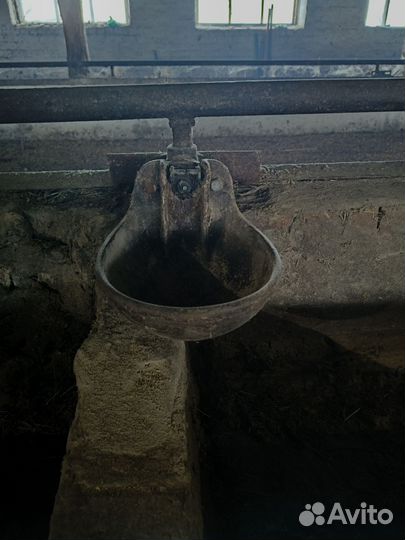 Поилки для крс