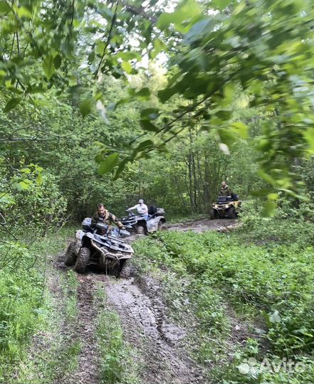 Прокат-аренда квадроциклов и снегоходов