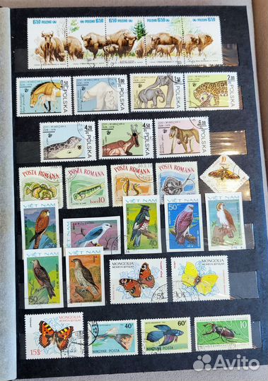 Коллекция марок 