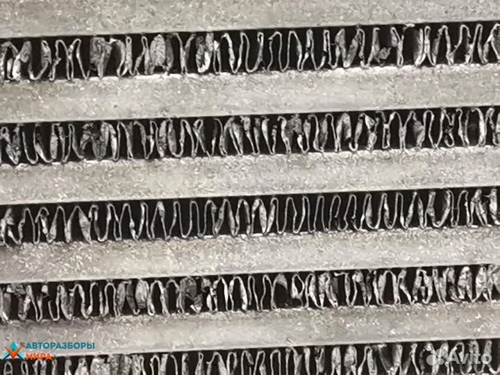 Интеркулер Renault Modus 2006 8200471885