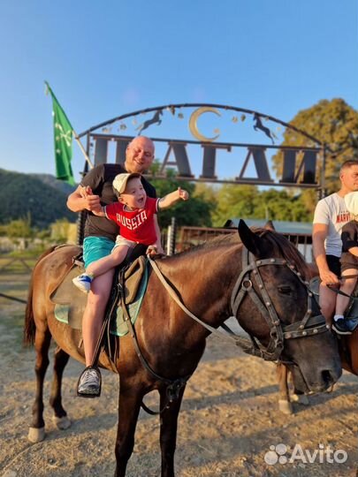 Конные прогулки сочи