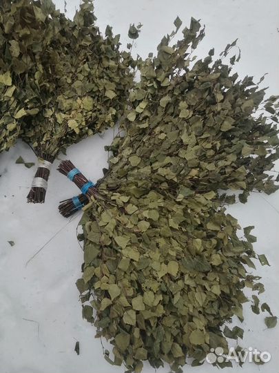 Березовые веники