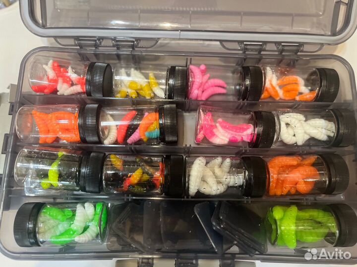 Набор форелевых магготов всех размеров. 14 банок