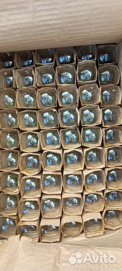 Лампы накаливания 500, 300, 150, 95, 75, 40 Вт