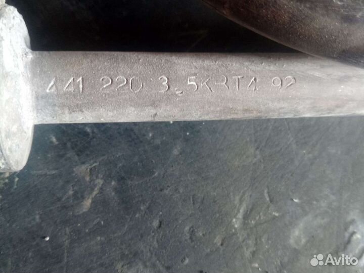 Тэн водяной