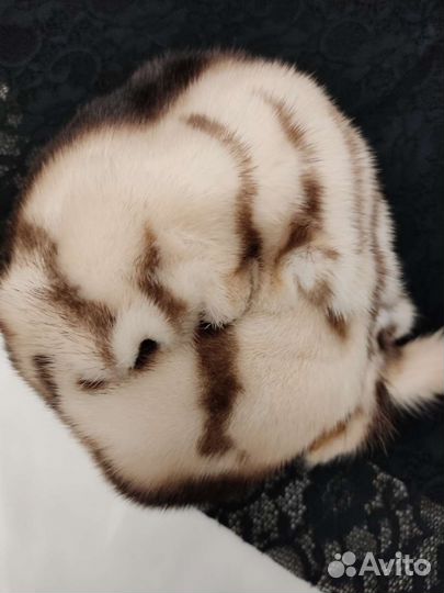 Шапка норковая женская бу