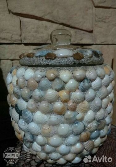 Морские ракушки