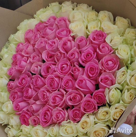 101 роза 31 51 роза Цветы