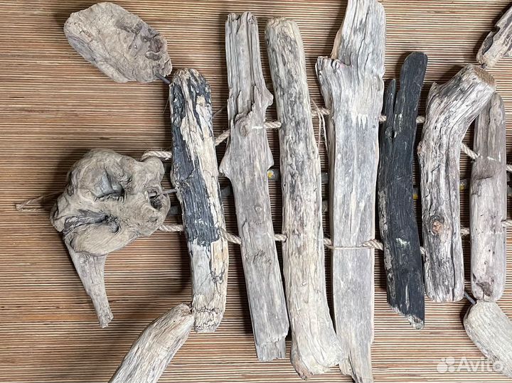 Две черепахи рядом