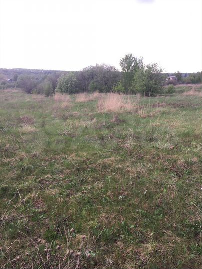 Участок 25 сот. (ИЖС)