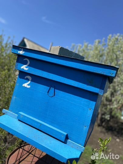 Пчелиные ульи