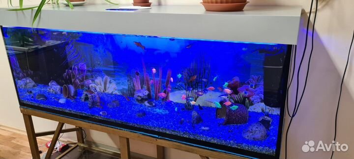 Аквариум с тумбой 450 литров