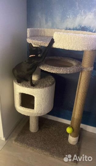 Домик для кошки с когтеточкой