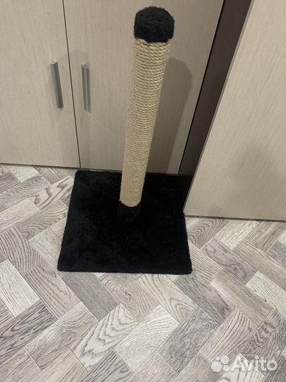 Когтеточка