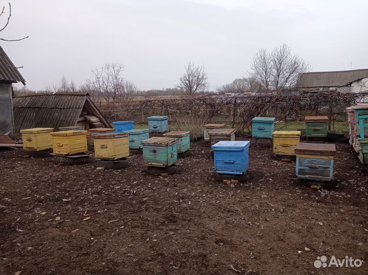 Ульи для пчел дадан