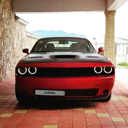 Dodge Challenger: фото владельца
