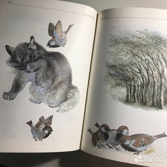 Сказки века