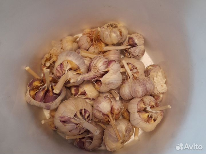 Чеснок