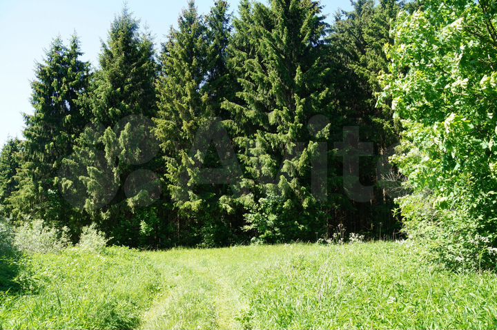 Участок 20 сот. (ИЖС)