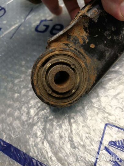 Equus quoris рычаг задний правый под пневму