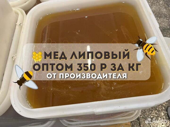 Мед оптом свежий липовый