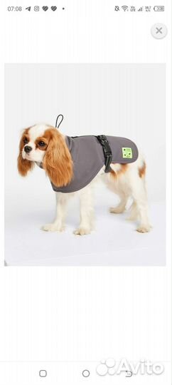 Попона для собак