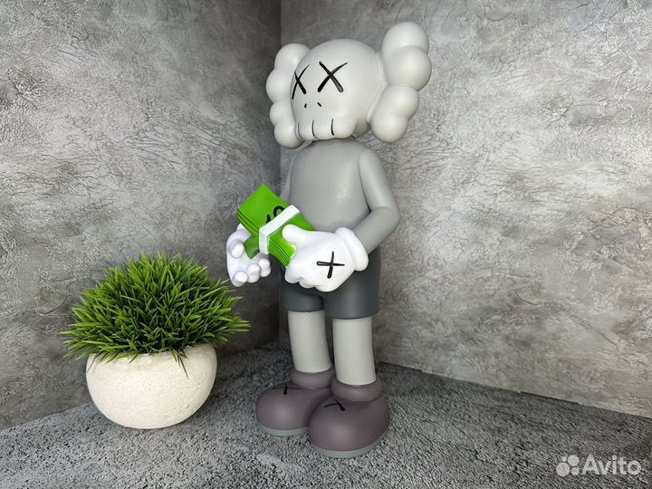Gray kaws with money